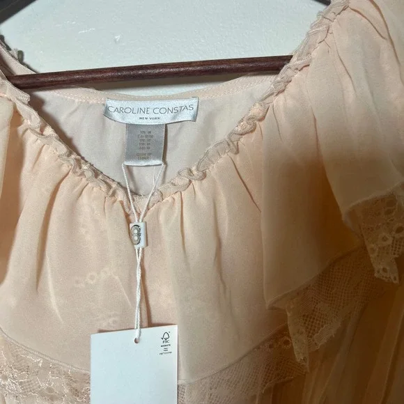 NWT Caroline Constas Peplum Blouse Womens Medium Pink Ruffle Lace Long Sleeve - Picture 3 of 5